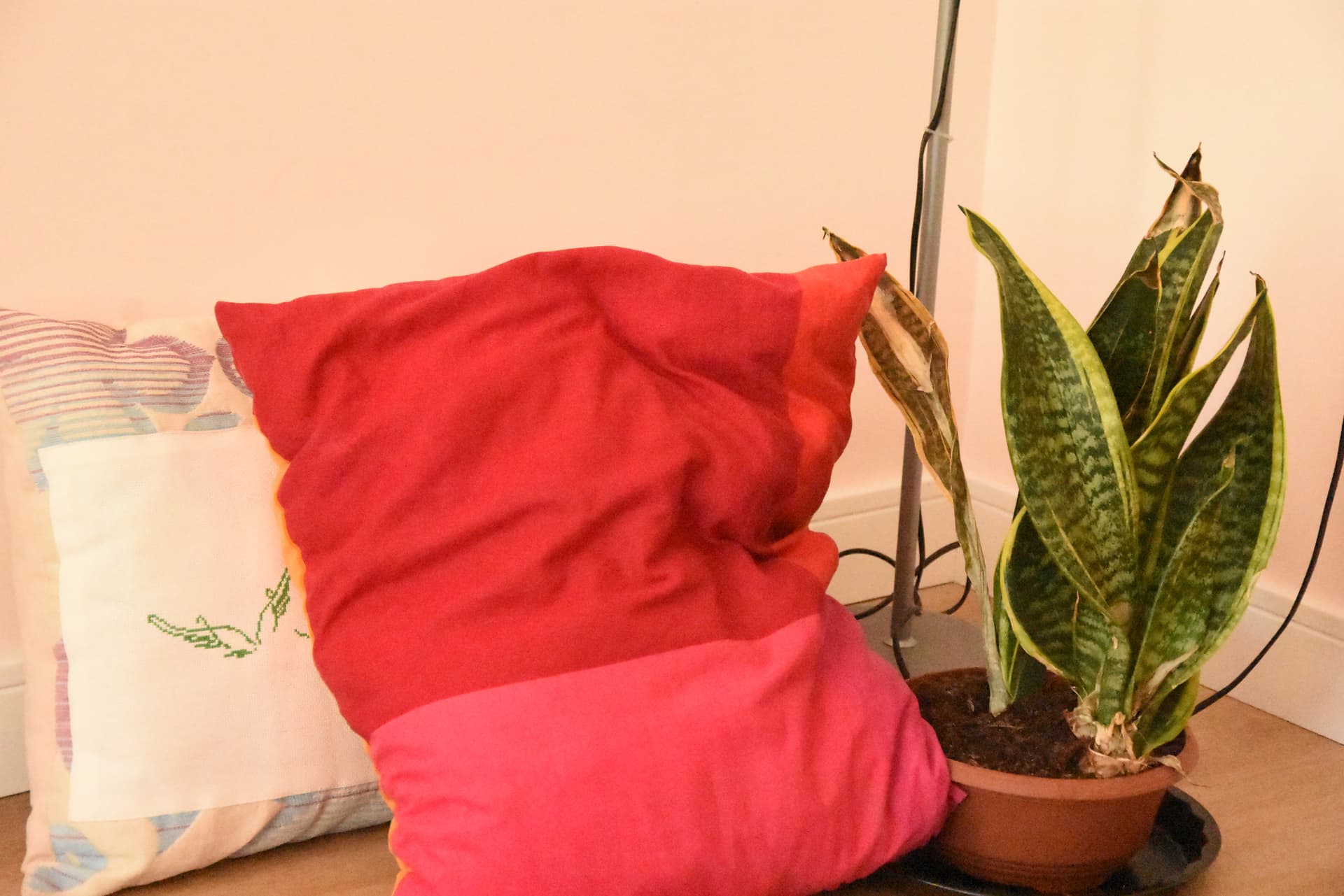 Espacio de OSCAR — foto 1